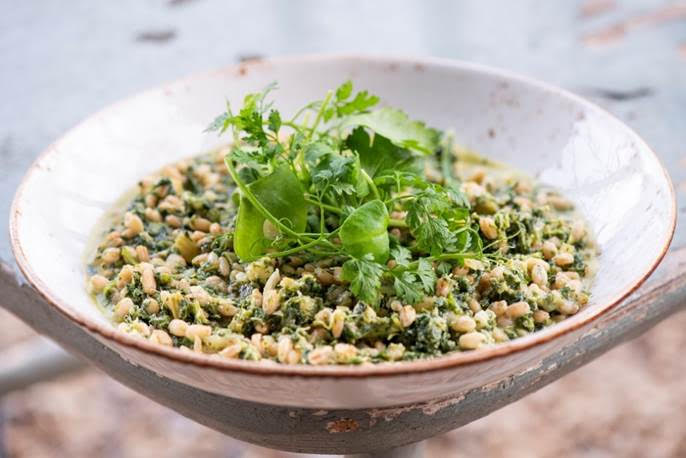 Secret to a Healthy Immune System