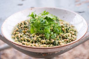 Secret to a Healthy Immune System